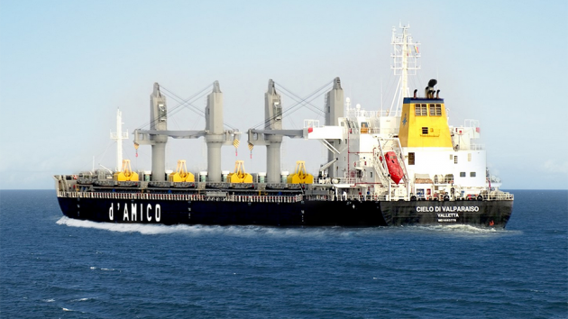 Cielo di Valparaiso B.Delta37 bulker - credit dAmico